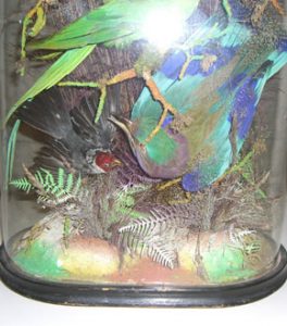 Victorian Display of Exotic Birds in Original Glass Dome